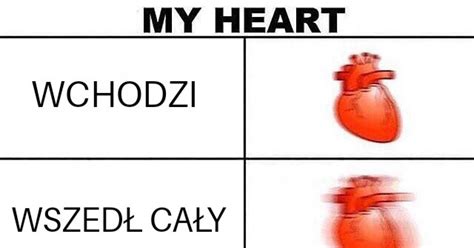 Niby Cz Owiek Si Brzydzi Ale Oczu Oderwa Nie Mo Na