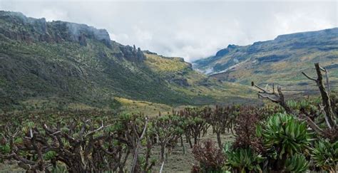 Mount Elgon National Park Uganda National Parks Uganda Safari