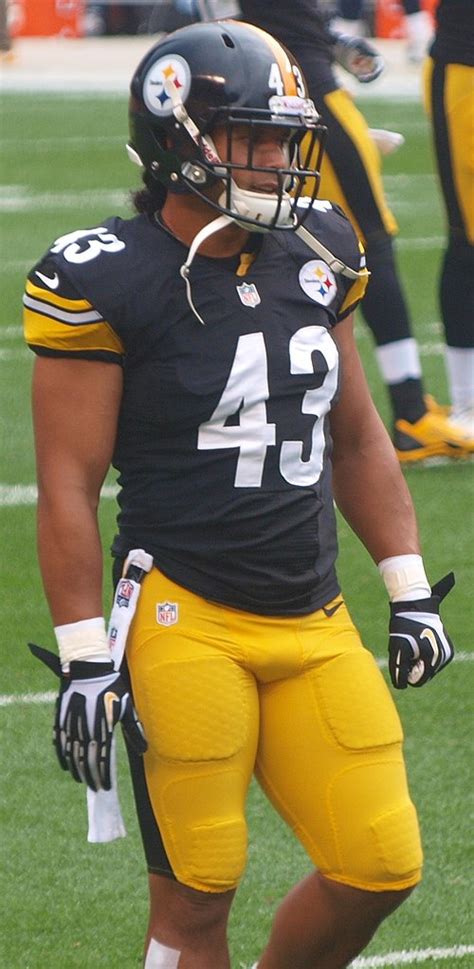 Troy Polamalu - Wikiwand