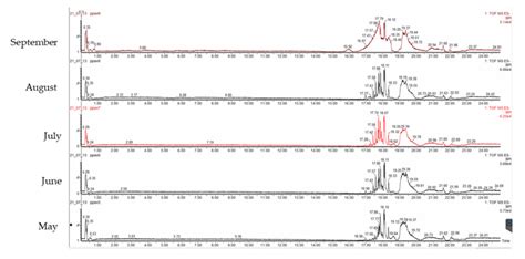 Chromatograms Of The Uplc Pda Esi Qtof Analyses Of P Pavonica