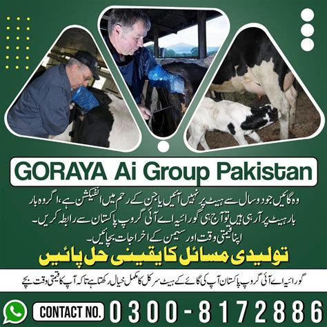 Goraya Ai group Pakistan آرٹیفشل انسمنشن | Kiamari