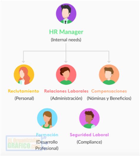 Organigrama De Recursos Humanos Ejemplos