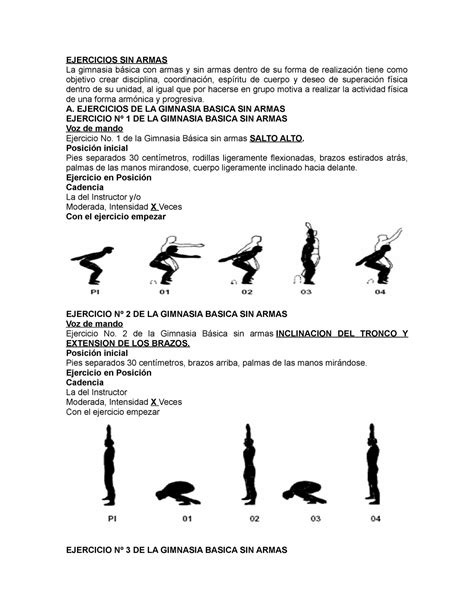 Ejercicios De Gimnasia Basica Caja Ejercicios De Gimnasia Basica The