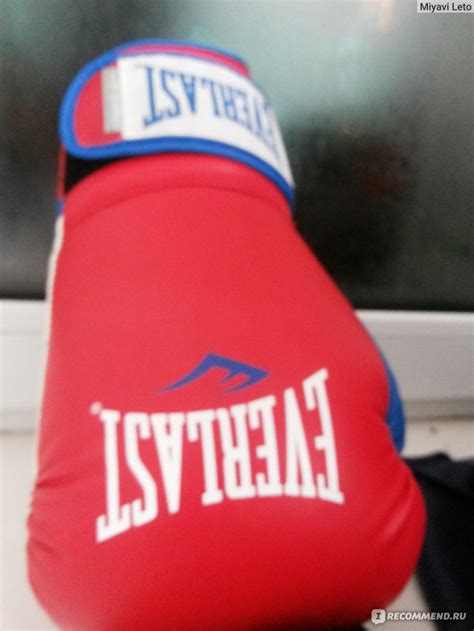 Перчатки Everlast 12 Oz - «Боксерские перчатки Everlast 12 Oz (унции ...