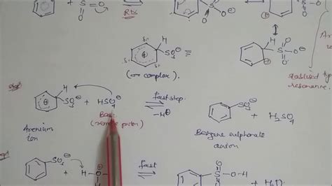 Sulphonation Of Benzene Lecture Note 5 EAS CLASS XI CHEMISTRY YouTube