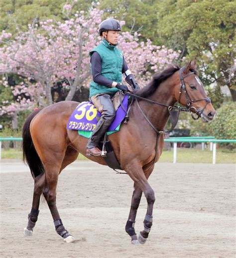 【nhkマイルc】桜花賞馬グランアレグリア、「令和」最初のg1制覇へ視界良好！ Umatoku 馬トク