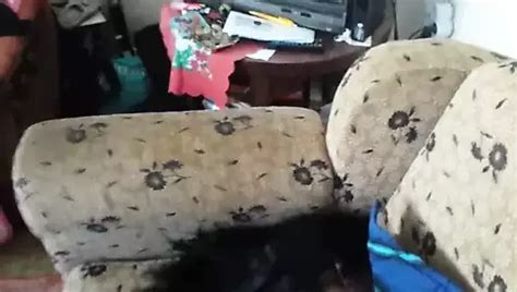 Moli Me Da Udjem U Nju Free Mom Hd Porn Video E Xhamster