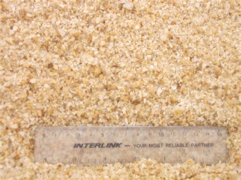 Washed Sharp Sand Cm Garden Products