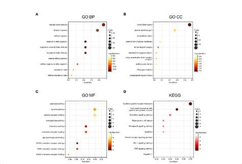 Functional Enrichment Analysis A Gene Ontology Go Enrichment