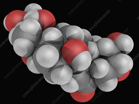 Ecdysterone molecule - Stock Image - F004/8422 - Science Photo Library