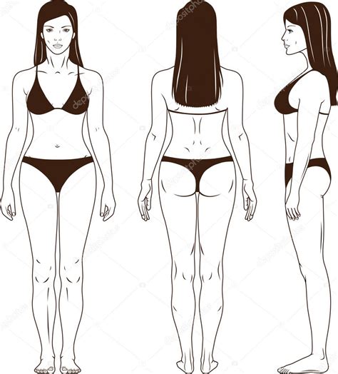 Naked Standing Woman Vector Stock Vector Image By Arlatis 8333230