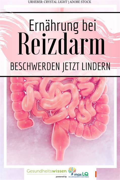 Reizdarm Ern Hrung Symptome Ursachen Behandlung Und Tipps Zur