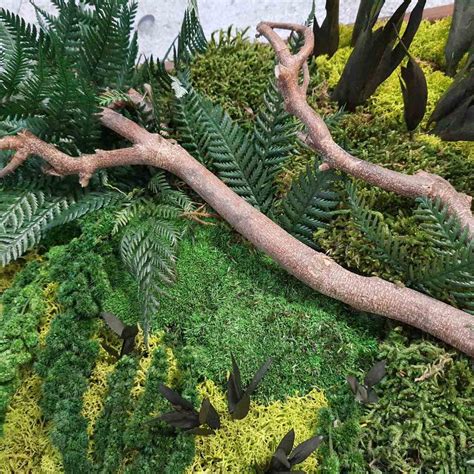 Фито картини Архиви - 3D GARDEN