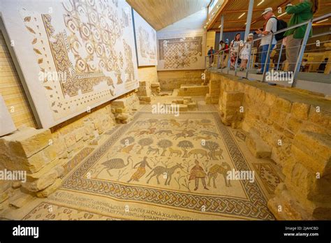Byzantine Mosaics On Display In The Museum On Mt Nebo Jordan Stock