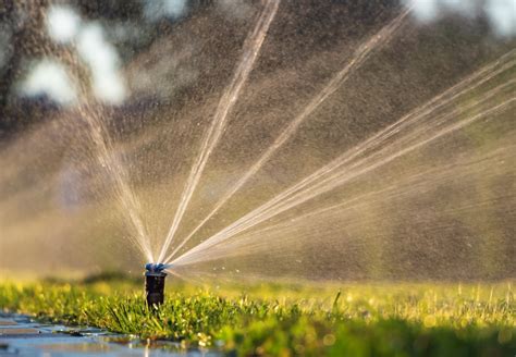 Irrigation & Sprinkler - Native Roots