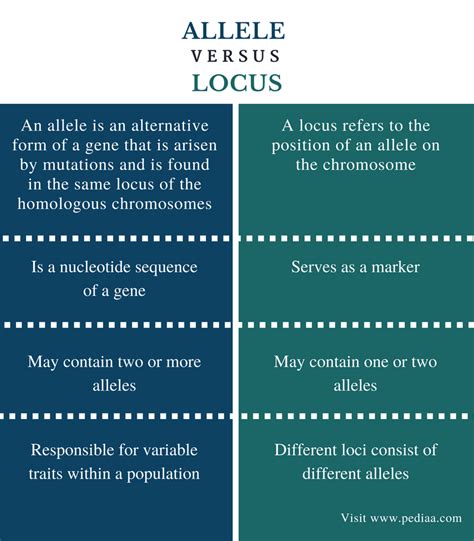 Difference Between Allele And Locus Pediaacom