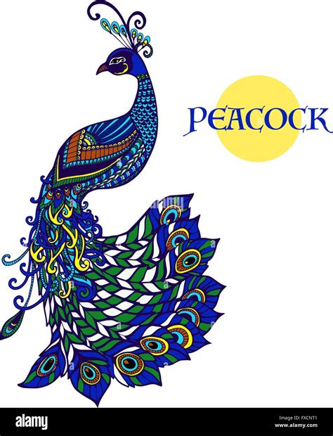 Decorative Peacock Design Doodle Color Print Stock Vector Art