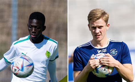 Sex skånska spelare uttagna till talangernas All star match Skånesport