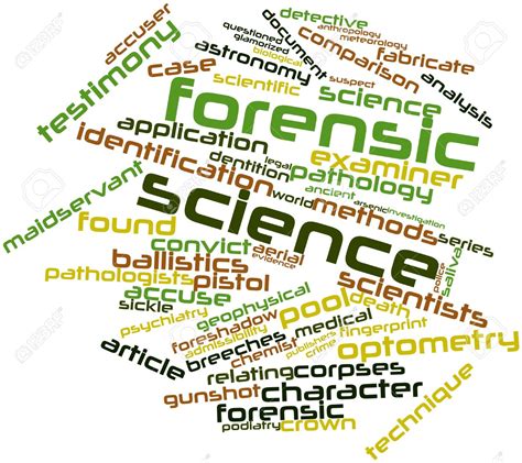 detail gambar tagging gambar forensik koleksi nomer