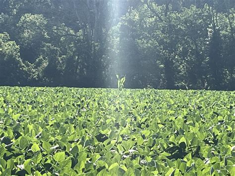 Best Fairy Images On Pholder Fairytaleas Fuck Miniworlds And Earth Porn