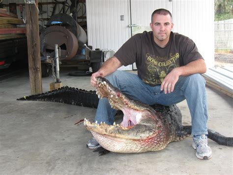 Florida Alligator Hunting Outfitters | Florida Alligator Hunts
