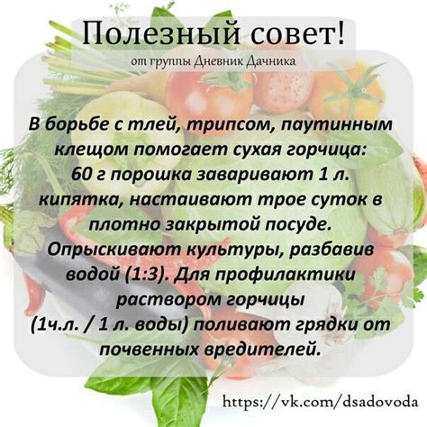 СУХАЯ ГОРЧИЦА ОТ ТЛИ .... | Уличные растения, Садоводство, Овощной огород
