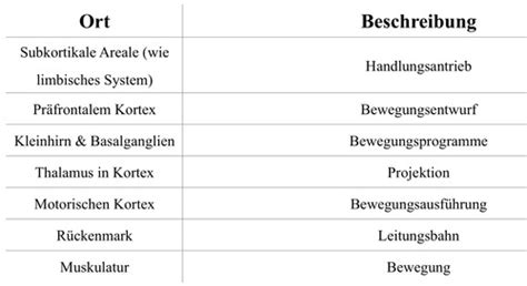 Motorik Karteikarten Quizlet