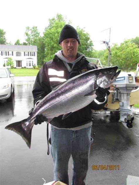 1984 Blue Fin 18 Boats For Sale Lake Erie United Walleye Bass