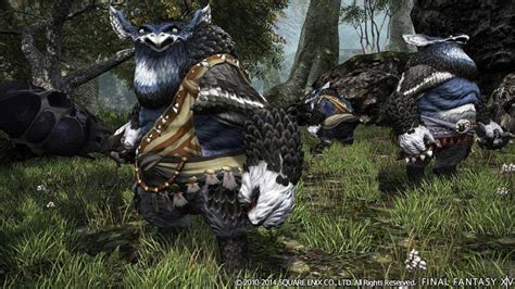 Final Fantasy Xiv Heavensward Des Informations Et Des Images Pour