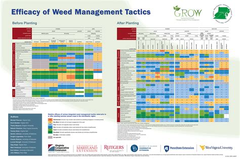 Comparing The Efficacy Of Various Integrated Weed Management Tactics