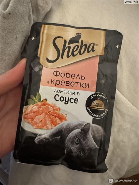 Корм для кошек Sheba Pleasure Форель/Креветки (пауч) - «Любимый вкус ...
