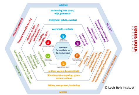 De wijk gezonder maken met het Spinnenweb - Institute for Positive Health