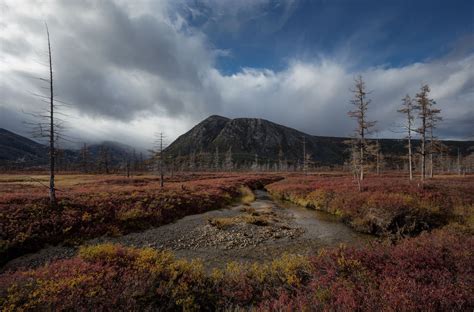 Optimistic ;) Тоня Андреева