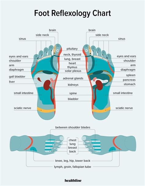 Reflexology Training