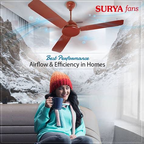 Ceiling Fans, Pedestal & Table Fans, Exhaust Fans | Surya Roshni | by ...