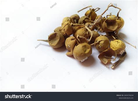 8 Imágenes De Ringani Imágenes Fotos Y Vectores De Stock Shutterstock