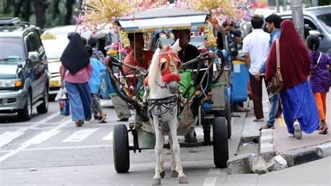delman alat transportasi tradisional indonesia  tak  lekang