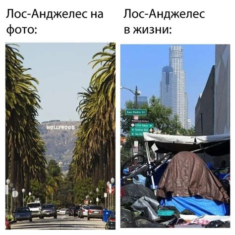 Город ангелов | Пикабу