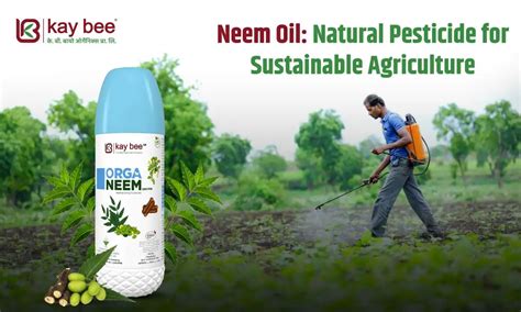 Neem Oil Natural Pesticide For Sustainable Agriculture