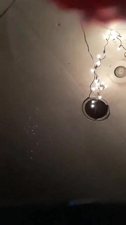 Sissy Lalla Free HD Porn Video C XHamster