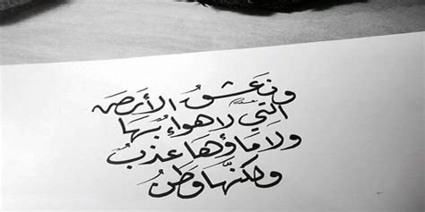 10 كلمات متنوعة فى حب الوطن الغالى