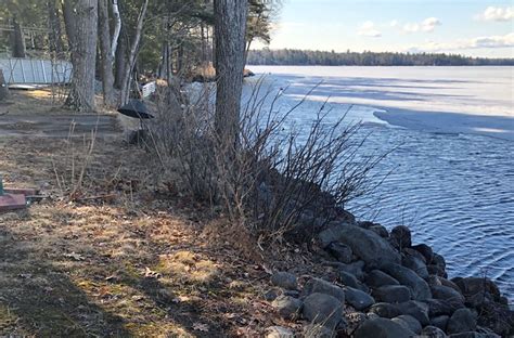 Pushaw Lake Students Work To Reduce Nonpoint Source Pollution