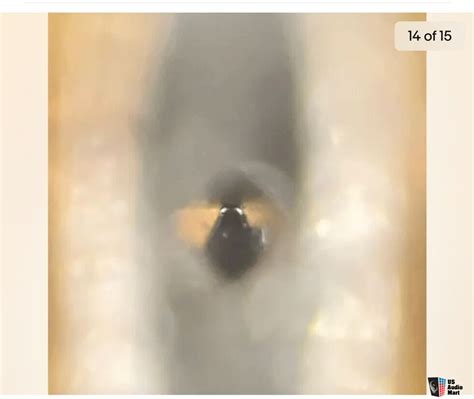 Audio Technica AT33EV Dual Moving Coil Cartridge Retipped Nude Diamond Photo 4470966 US