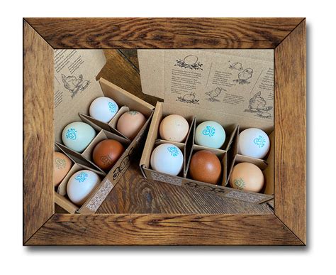 Exploring The Fascinating World Of The Egg Room