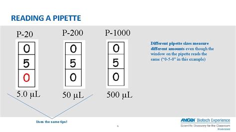 Lab 1 1 How To Use A Micropipette