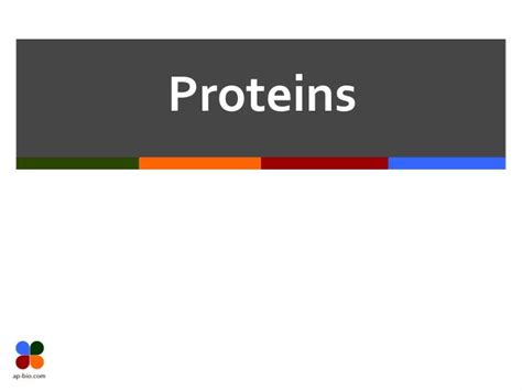 Ppt Proteins Powerpoint Presentation Free Download Id6289624