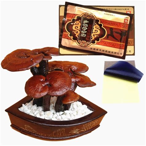 MIYUELENI Chinese Herbal Joint Pain Ointment Essential oil Ganoderma ...