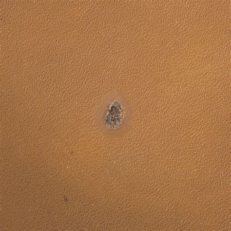 DKR Wire Chairs Bikini By Eames For Herman Miller Vintage Design Point