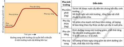 Lý thuyết sinh trưởng và sinh sản ở vi sinh vật Sinh 10 Chân trời