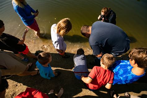 Lake sturgeon are released on the Tittabawassee River - mlive.com